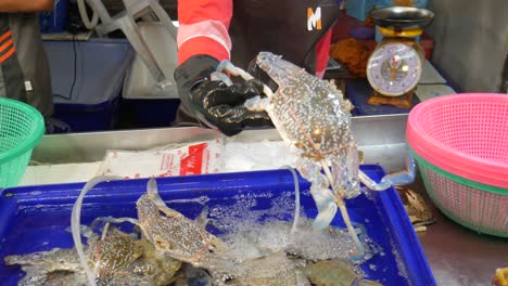raw-live-fresh-blue-flower-crab-in-water-bucket-for-sale-at-asian-fish-market-thailand