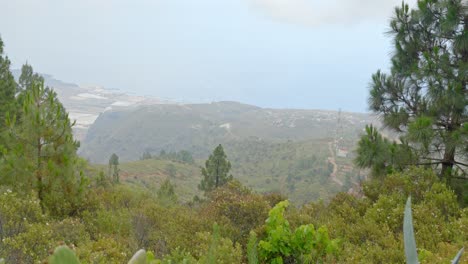 Tenerife-beautiful-nature-vegetation-landscape,-tilt-up-reveals-cloudy-mountain