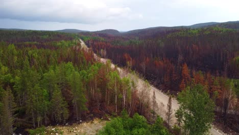 Aerial-overview-of-wildfire-damage-in-dense-forest-of-Quebec,-Canada