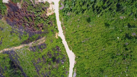 High-bird's-eye-view-top-down-of-wildfire-scars-from-Lebel-Sur-Quevillon,-Quebec,-Canada,-forest-fire