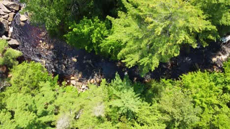 Aerial-view-over-a-peaceful-river-flowing-through-a-green-forest-in-the-canadian-mountains,-Duchesnay-Falls,-Ontario