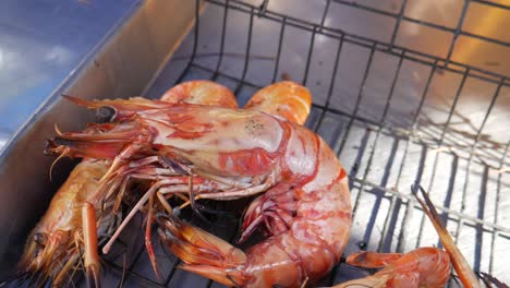 grilled-black-tiger-shrimp-ready-to-serve-in-thailand-fish-market