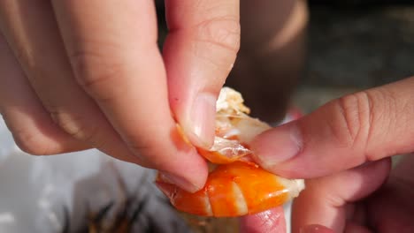 peeling-cooked-river-prawn-shell-to-eat