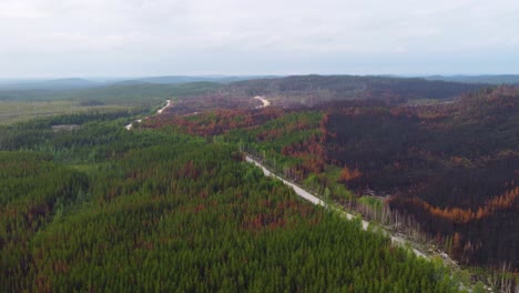 Drones-Aéreos-Vuelan-Sobre-El-Bosque-Quemado-Después-De-Un-Incendio-Forestal,-Paisaje-Panorámico-En-Quebec,-Canadá