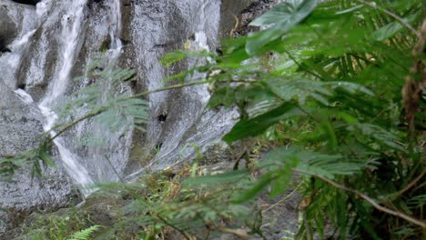 Estas-Impresionantes-Imágenes-De-Una-Cascada-De-Bali-En-El-Este-De-Bali-Muestran-Vegetación-Y-El-Río-Fluyendo-Sobre-Piedras-Lisas.