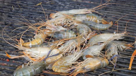 grill-cooking-river-prawn-on-hot-charcoal