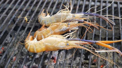 grill-cooking-red-river-prawns-on-hot-charcoal-in-thailand