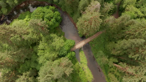 Descending-top-down-aerial-shot-of-a-river-bridge-in-a-forest