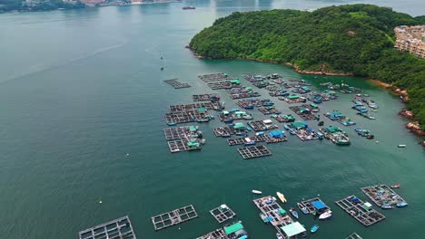 Antena-Sobre-Los-Barcos-De-Pesca-Y-Balsas-De-Las-Piscifactorías-En-La-Isla-De-Ma-Wan,-Hong-Kong,-China