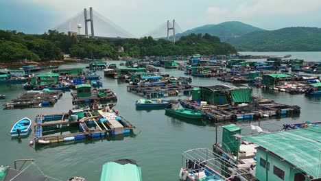 Aerial-over-the-fishing-boats-and-rafts-of-the-fish-farms-on-Ma-Wan-island,-Hong-Kong,-China