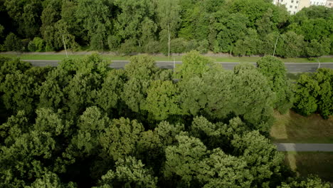 Top-down-aerial-shots-of-green-trees-in-the-roadway-and-a-raised-camera-view-of-Warsaw's-panorama-with-characteristic-buildings-in-the-city-center