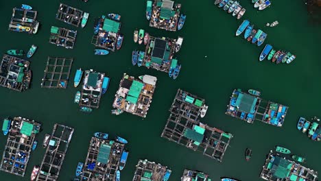 Overhead-view-over-the-fishing-boats-and-rafts-of-the-fish-farms-on-Ma-Wan-island,-Hong-Kong,-China