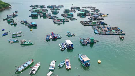 Luftaufnahmen-über-Den-Fischerbooten-Und-Flößen-Der-Fischfarmen-Auf-Der-Insel-Ma-Wan,-Hongkong,-China