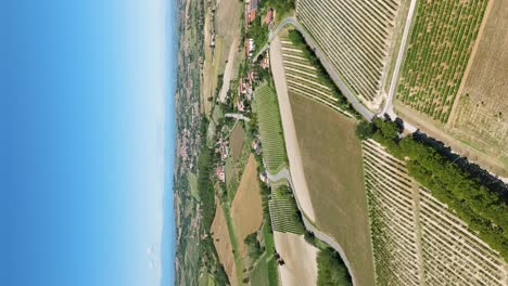Aerial-View-Over-Vineyards-At-Casale-Monferrato-On-Sunny-Day-With-Blue-Skies