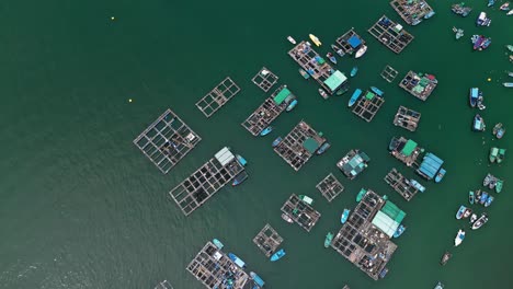 Overhead-view-over-the-fishing-boats-and-rafts-of-the-fish-farms-tilting-up-to-show-Park-Island,-a-private-housing-estate,-on-Ma-Wan-island,-Hong-Kong,-China