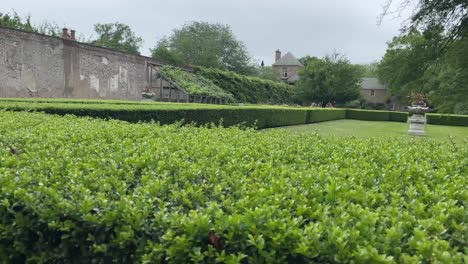 showing-off-this-grassy-path-with-hedges-and-a-building-in-background