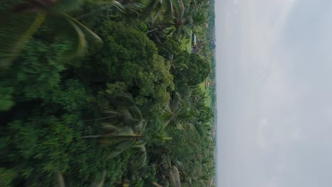 Vertikale-Aufnahme-Von-Balinesischen-Reisfeldern,-Reisfeldern,-Schneller-FPV-Drohnenflug-über-Balinesische-Reisterrassen-In-Ubud