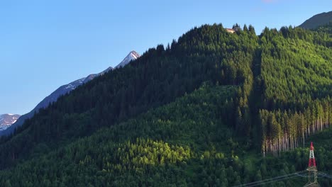Fichten-Im-Vordergrund,-Schwenk-Nach-Links,-Um-Schnee-Und-Felsgebirgskette-Sichtbar-Zu-Machen
