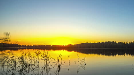 A-Time-Lapse-Shot-Of-A-Sunset-At-A-Lake-By-The-Forest-From-Dusk-To-Twilight