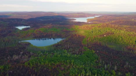 Aerial-View-Of-Forest-Partly-Burned-Down-After-Wildfire-Near-Lebel-sur-Quévillon-In-Quebec,-Canada