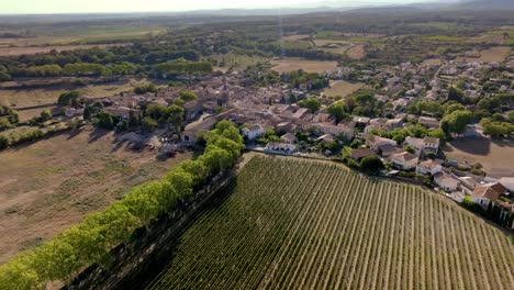 Aerial-view-of-Nizas,-a-small-village-surrounded-by-vineyards-in-the-Hérault-department