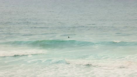 Hand-held-shot-of-2-surfers-sitting-waiting-on-waves-to-catch-at-Fistral-beach,-Newquay