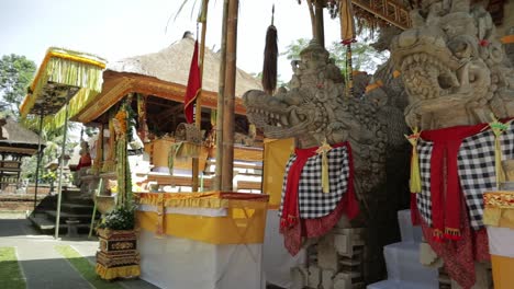 Panning-shot-balinese-man-pray-in-temple