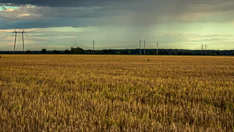 Timelapse-Captures-Rain-Passing-Over-a-Cornfield-with-Electrical-Pylon-Cables-Stretching-Across-the-Landscape