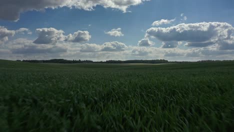 Flying-Over-Scenic-Grass-Field-Against-Blue-Cloudy-Sky---drone-shot