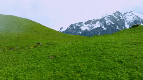 Pastizales-Verdes-En-Las-Colinas-De-Nepal-Pokhara