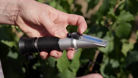 Test-to-determine-the-sugar-content-in-grapes-with-a-refractometer,-fixed-plane-in-the-vineyard