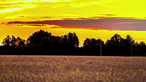 sunrise-timelapse,-sun-rising-in-grassland-lavender-field,-yellow-bright-sunburst-orange-sky,-colored-clouds,-sunny-morning-timelapse