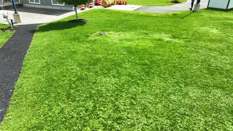 Mit-Klee-Gefülltes-Gras-An-Einer-Raststätte-Per-Drohne
