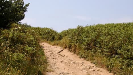 coastal-path-on-the-island-of-Saint-Agnes-at-the-Isles-of-Scilly