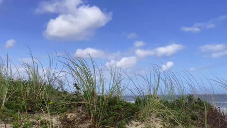 Irische-Strandsanddünen-Und-Blauer-Himmel