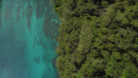 Aerial-view-revealing-emerald-waters-in-the-Jinek-bay,-in-Lifou---push-in,-drone-shot
