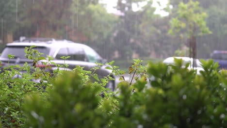 Tropical-Storm-Hilary-Brings-Heavy-Rain-To-Southern-California-Neighborhoods-During-El-Nino-Weather-Season