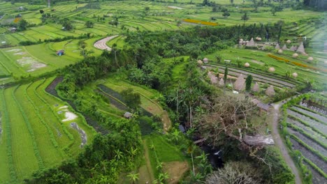 Aerial-:-Maha-gannga-valley-in-Bali-Indonesia,-a-Camp-ground-glamping-agrotourism-Inn-featuring-Eco-Huts,-mountain-views-to-agung-volcano,-Rice-Terraces,-Palm-Tree-Jungles,Waterfal-and-photo-spots
