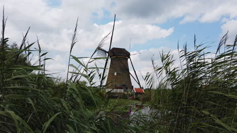 Windmühlen,-Niederlande:-Wir-Gehen-Durch-Das-Unterholz-Und-Entdecken-Eine-Fantastische-Windmühle,-Die-An-Einem-Kleinen-Fluss-Steht