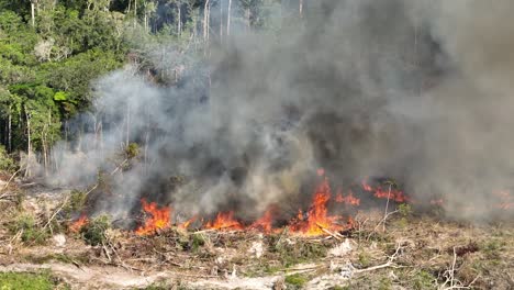 Details-Der-Flammen,-Die-Im-Amazonas-Regenwald-Brennen-–-Filmische-Luftaufnahme