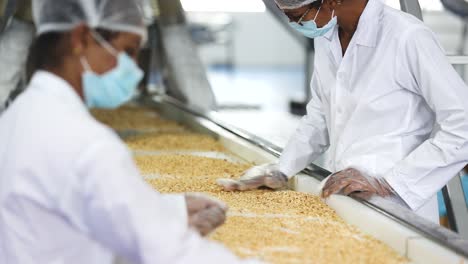 Employees-are-checking-the-best-quality-peanut-kernels-arriving-on-the-conveyor-belt-in-the-peanut-butter-factory-and-they-are-wearing-gloves-and-masks-for-safety-purpose