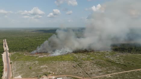 Vista-Aérea-De-Ranchos-Ganaderos-E-Incendios-Forestales-En-La-Selva-Amazónica.