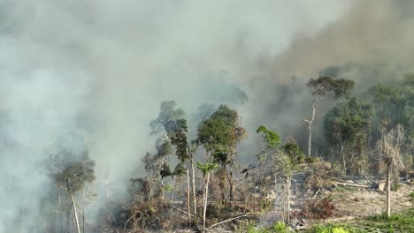 Cinematic-aerial-view-of-smoke-among-trees-in-the-Amazon-as-it-burns