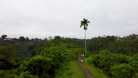 Einheimische-Jogger-Laufen-Auf-Dem-Malerischen-Campuhan-Ridge-Jungle-Trail-In-Bali---Indonesien-Und-Touristen-Wandern-Vor-Dem-Tropischen-Hintergrund
