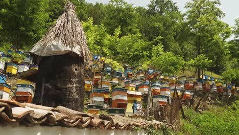 Push-shot-towards-tiered-hives-at-honey-bee-farm-in-rural-Bulgaria