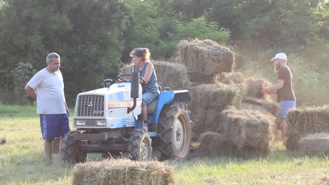Farmer-and-friends-load-bales-of-hay-onto-tractor-during-harvest-season