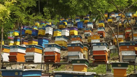 Die-Aufzugsenthüllung-Zeigt-Farbenfrohe-Bulgarische-Bienenstöcke-Auf-Einer-Terrassenförmig-Angelegten-Imkerei