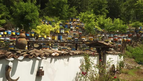 Colourful-Bulgarian-beehives-on-apiculture-farm-on-hillside