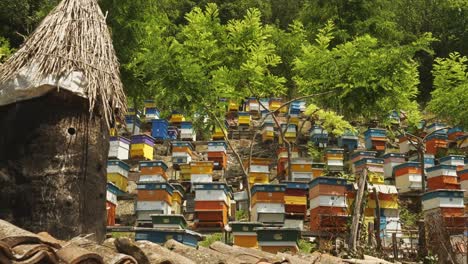 Push-shot-of-colourful-Bulgarian-beehive-on-apiculture-farm-on-hillside