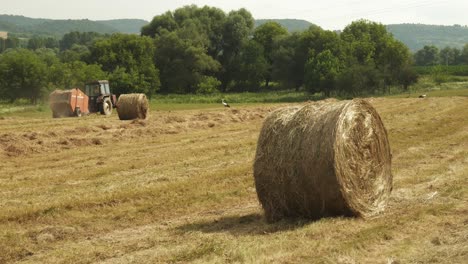 -Round-golden-hay-bales-in-rural-agricultural-scene-with-tractor-machinery